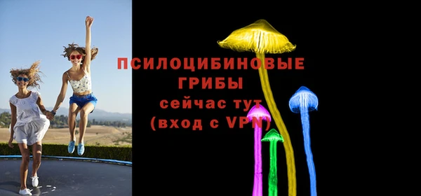 шишки Кинешма