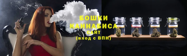ПСИЛОЦИБИНОВЫЕ ГРИБЫ Арсеньев