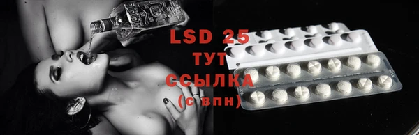 ПСИЛОЦИБИНОВЫЕ ГРИБЫ Арсеньев