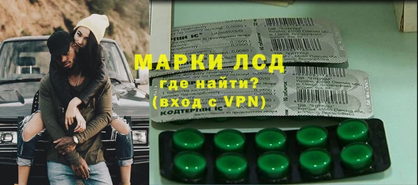 ПСИЛОЦИБИНОВЫЕ ГРИБЫ Арсеньев