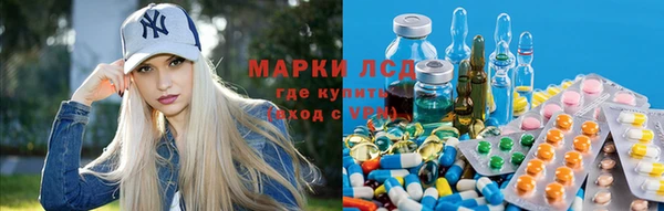 ПСИЛОЦИБИНОВЫЕ ГРИБЫ Арсеньев