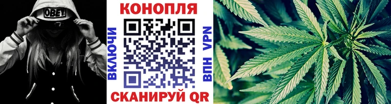 где найти   Полесск  Каннабис OG Kush 